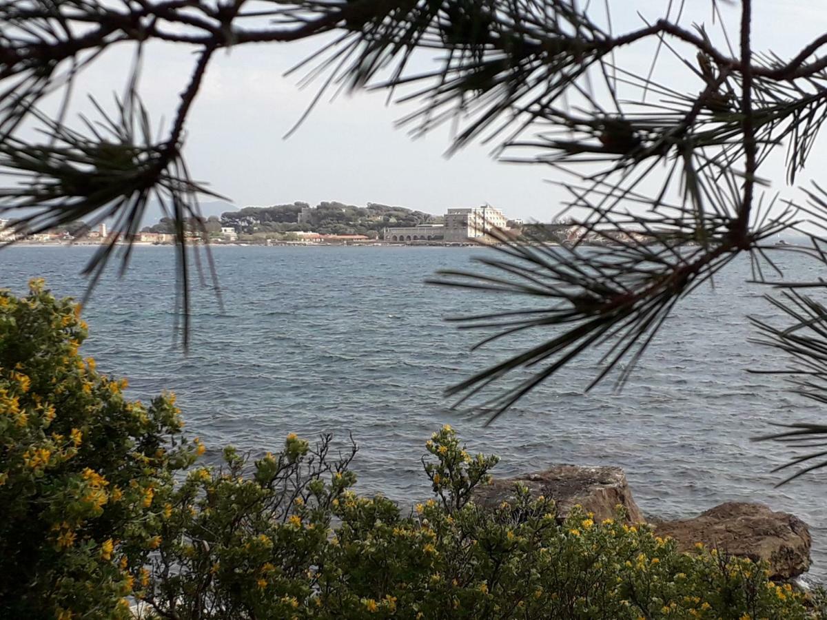 Bandol Nature Et Loisirs: Parking/ Piscine מראה חיצוני תמונה